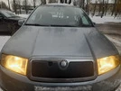 Зимова накладка на решітку Глянсова для Skoda Fabia 2000-2007 рр - 3