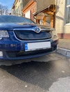 Зимова накладка на решітку (Нижня, 2008-2013) Матова для Skoda Superb рр - 6