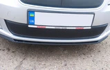 Зимова накладка на решітку (2011-2014, нижня) Матова для Skoda Roomster рр - 1