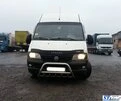 Кенгурятник WT003 (нерж.) для Fiat Ducato 1995-2006 рр - 2