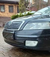 Зимова накладка на решітку (нижня) Матова для Skoda Octavia II A5 2006-2010рр - 2