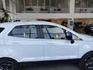 Окантовка скла (6 шт, нерж) для Ford Ecosport - 1