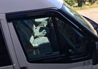 Вітровики (2 шт., Sunplex Sport) для Ford Transit 2000-2014 рр - 4