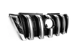 Решітка 2013-2017 (стандарт) для Toyota Land Cruiser Prado 150 - 4