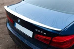 Спойлер Meliset Bat (під фарбування) для BMW 5 серія G30/31 2017-2023 рр - 1