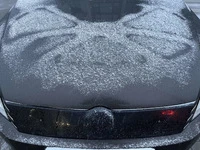 Зимова решітка (EU/USA) Матова для Volkswagen Passat B7 2012-2015рр