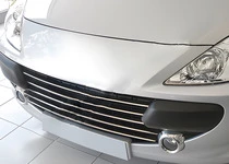 Накладки на решітку (2005-2008, 5 шт, нерж) для Peugeot 307