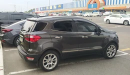 Молдинг дверей (4 шт, нерж) для Ford Ecosport