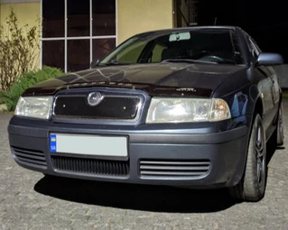 Зимова решітка (верхня) матова для Skoda Octavia I Tour A4 1996-2010
