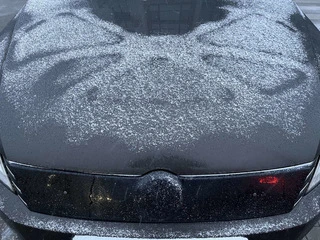 Зимова решітка (EU/USA) Матова для Volkswagen Passat B7 2012-2015рр