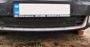 Зимова накладка на решітку (Нижня, 2008-2013) Матова для Skoda Superb рр