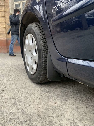 Бризковики Premium (4 шт) для Peugeot 307