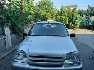 Рейлінги ХРОМ Чавунні ніжки для Chevrolet Niva