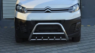 Кенгурятник WT003 (нерж) для Peugeot Expert 2017- рр