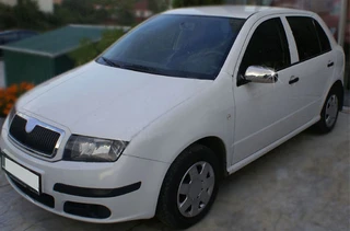 Накладки на дзеркала 2006-2025 (2 шт, нерж.) для Skoda Fabia рр