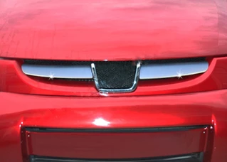 Накладки на решітку радіатора 2004-2008 (2 част., нерж) OmsaLine - Італійська нержавійка для Peugeot Partner рр