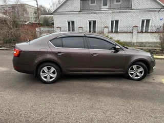 Окантовка вікон (6 шт, нерж) для Skoda Octavia III A7 2013-2019рр